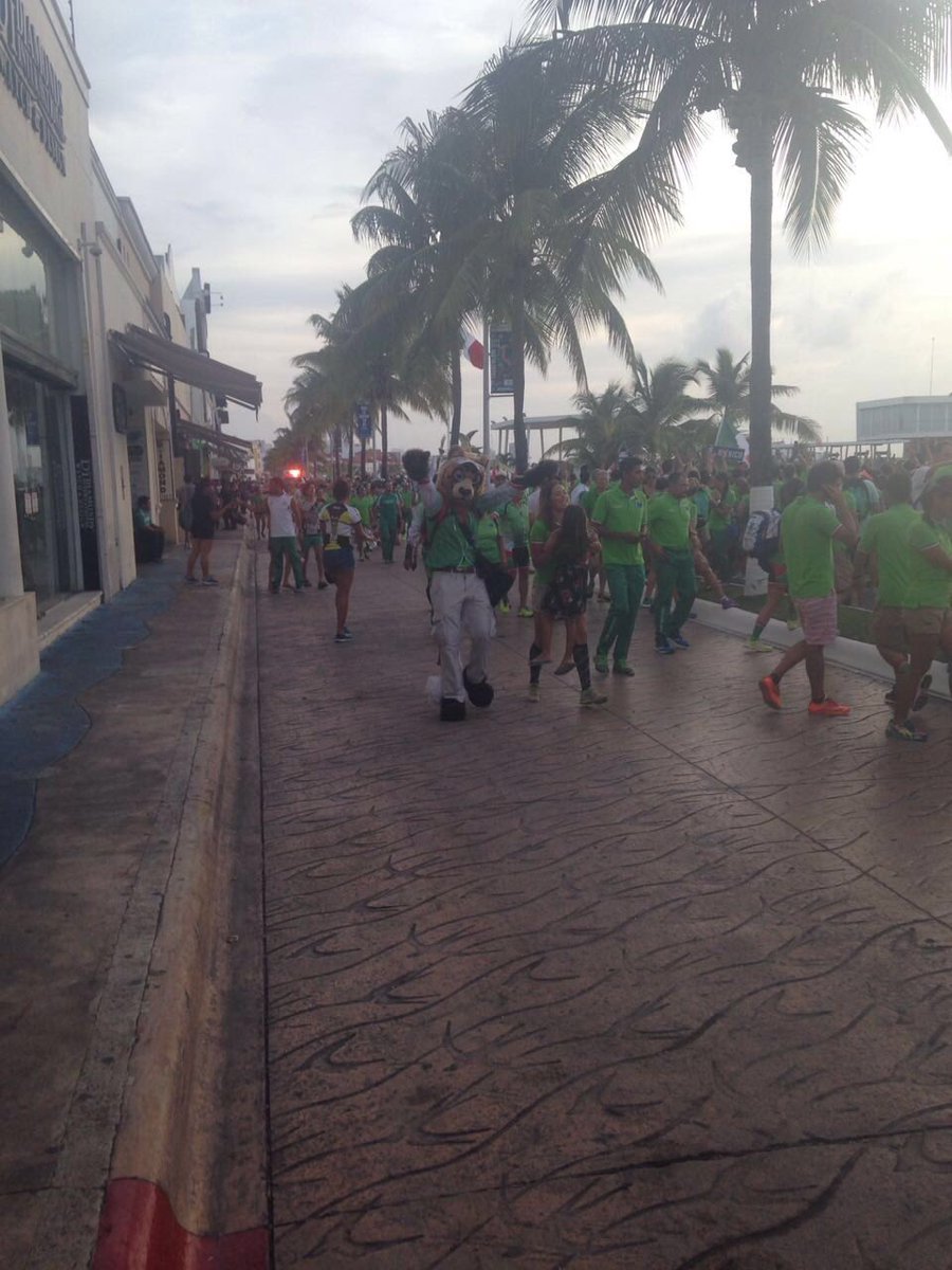 andermb's tweet photo. #WTSCozumel the unofficial mascot https://t.co/yu4rwGb9Pg