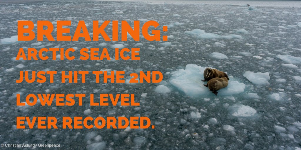 moneyforchange_'s tweet photo. BREAKING: Arctic sea ice just hit the 2nd lowest level EVER recorded. https://t.co/UObw0YZsnr  #savethearctic https://t.co/iF6rcXUK4R