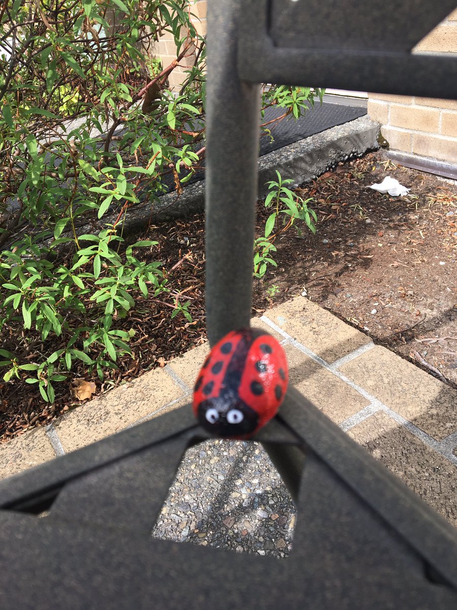 BeKindRockOn's tweet photo. Noticed some #BeKindRockOn rocks @BeKindRockOn had been picked up so I left some more @CenteredinWellness https://t.co/9KctCSDjT0
