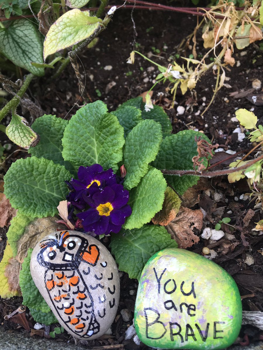 BeKindRockOn's tweet photo. Noticed some #BeKindRockOn rocks @BeKindRockOn had been picked up so I left some more @CenteredinWellness https://t.co/9KctCSDjT0