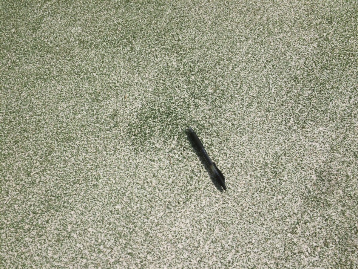 TurfBlade's tweet photo. Want to scout for #offtype grasses in ultradwarf greens? They can be easier to see right after sand topdressing https://t.co/gvjT8O5zrv