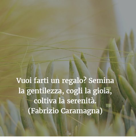Vuoi farti un regalo? Semina la gentilezza, cogli la gioia, coltiva la serenità.