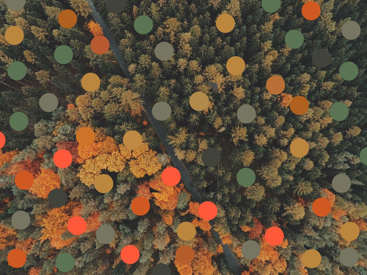 Florets septembernummer ute nu! floret.se