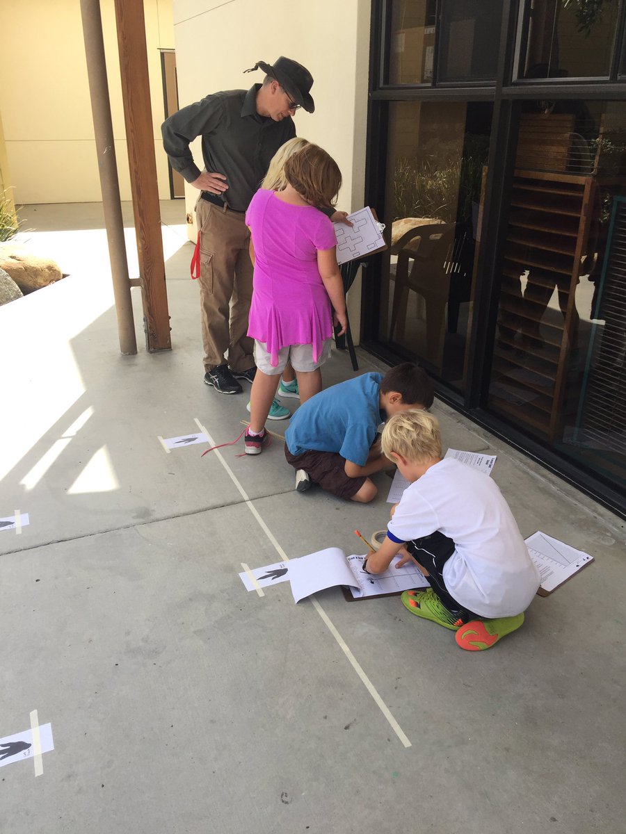 AdaHarrisKids's tweet photo. Can you run faster than a dinosaur?  Third graders measuring speed and distance to find out! @CardiffSchools https://t.co/jJ2h47wQb8