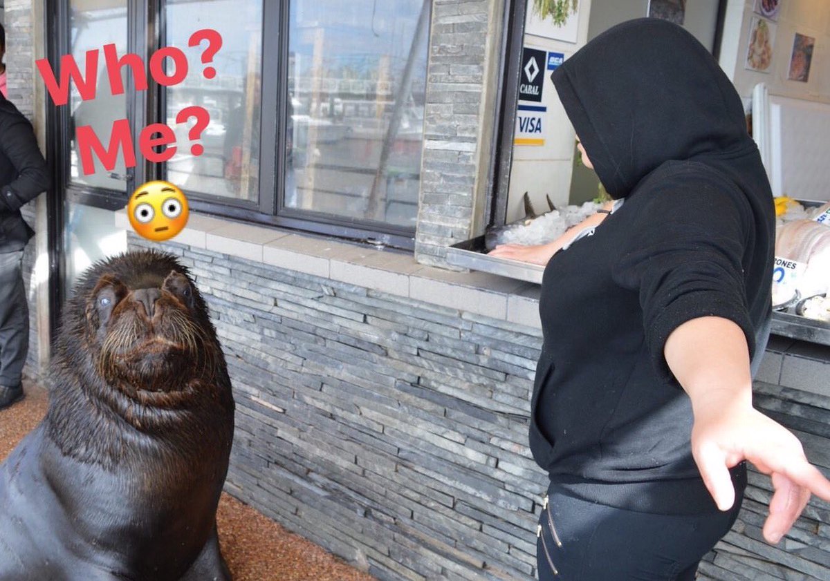 Ksco Nieto tweet media