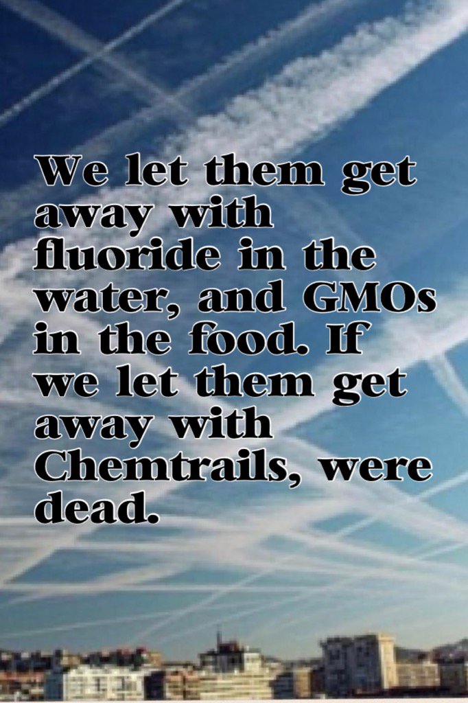 Papamundi_film's tweet image. Everybody who is into #911truth or #NoGMO better start thinking about #chemtrails, too