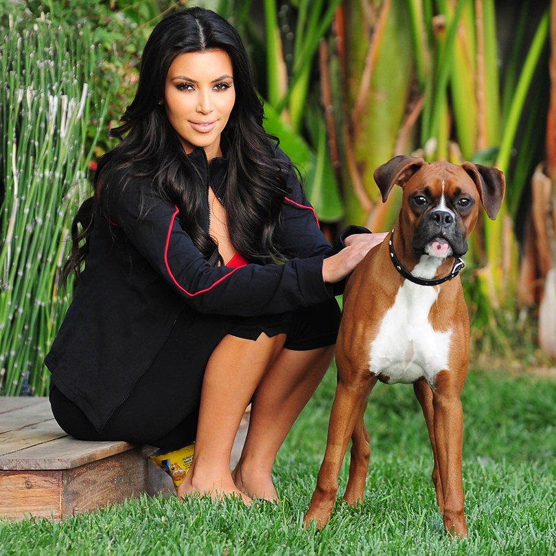 <a href="/KimKardashian/">Kim Kardashian</a> Great Story On Kardashian Family Pets! ow.ly/bHkc304eP42 #pets #dogs #millennials #Kardashians