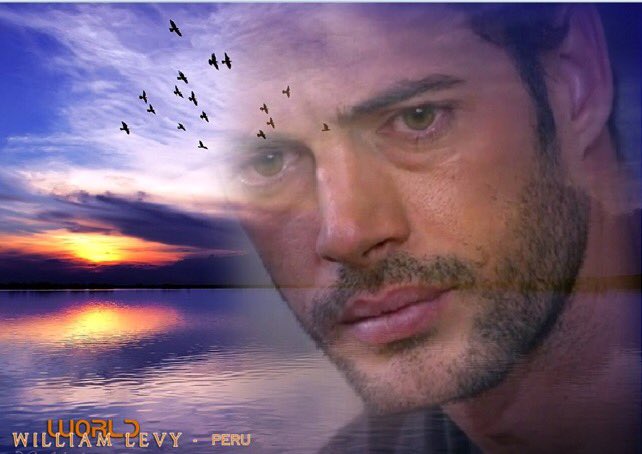WLW_PERU's tweet photo. Feliz Jueves a todas las Fans de @WilliamLevy Grx por todo el amor y apoyo a nuestro @willylevy29 https://t.co/HHTM6LM57H