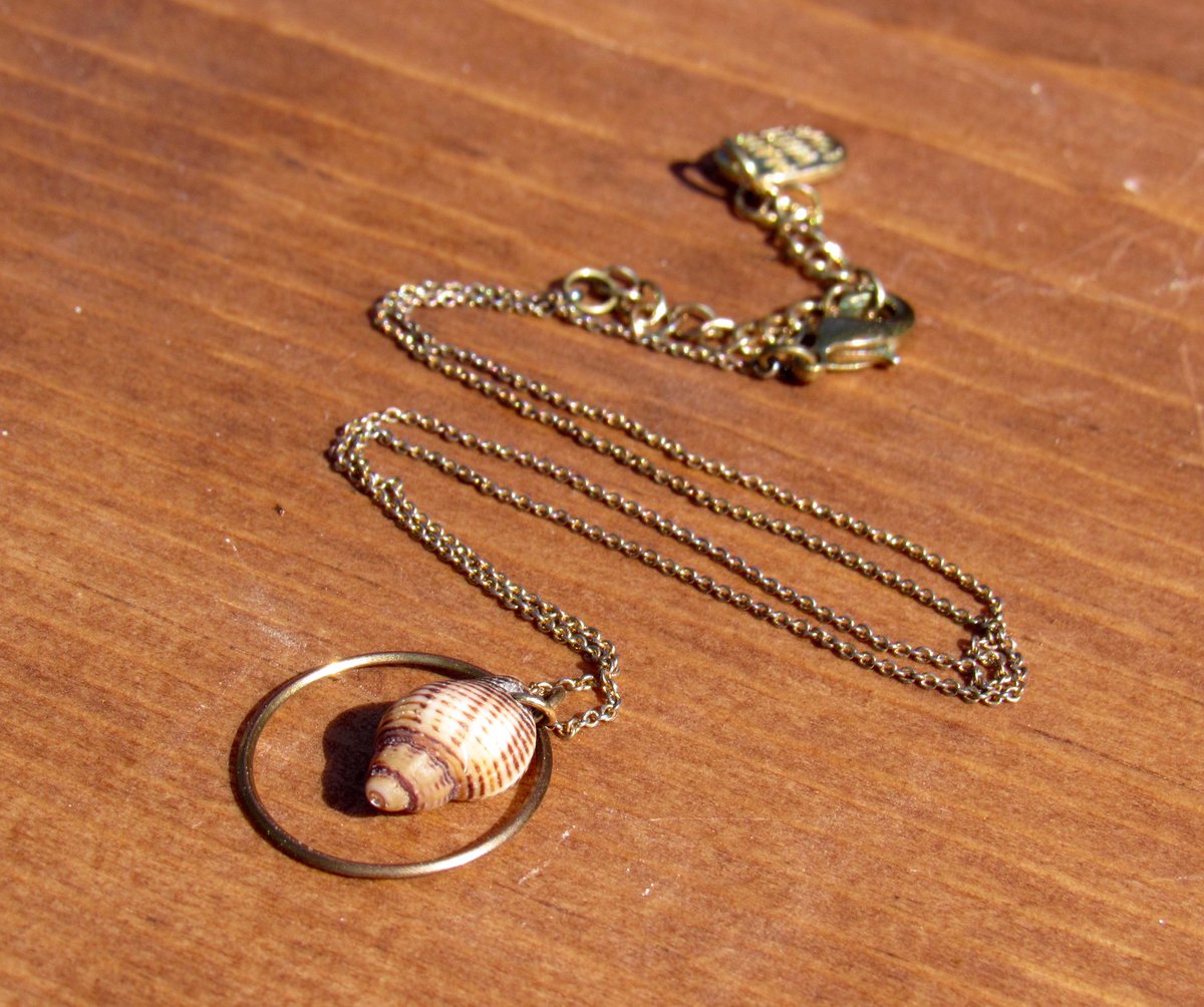 peachyshellco's tweet photo. SALE!! 
Buy any necklace bracelet or anklet and get a FREE pair of strigilla shell stud earrings!! 🐚🍑
#peachy #sale https://t.co/h0d2OQEvfk
