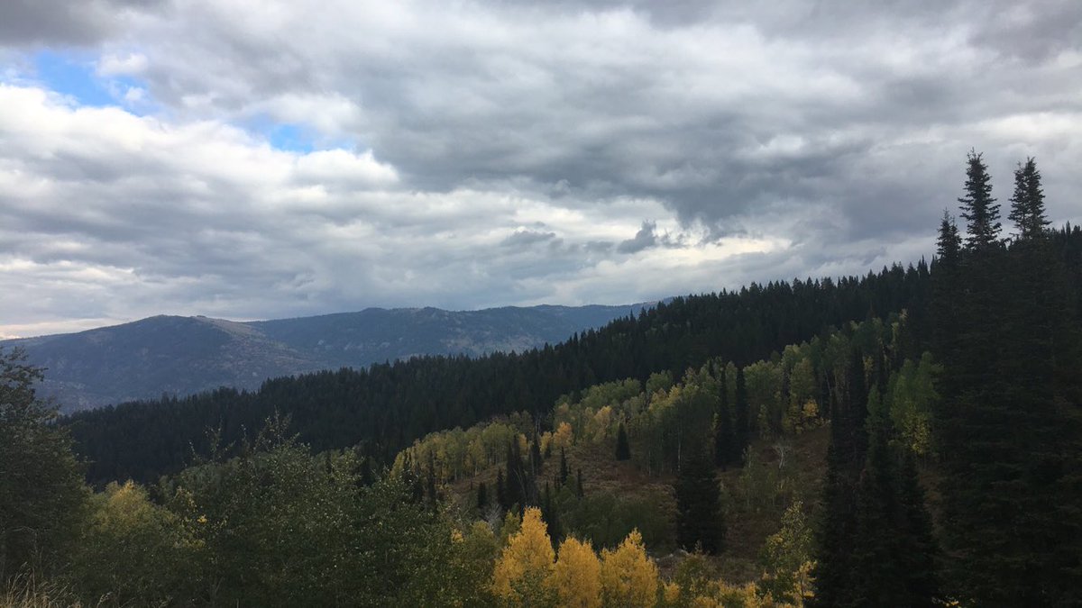 littlechief31's tweet photo. @littlechief31 this was exactly what I needed. I love this place so much. #TonyGrove #NoFilter https://t.co/DGKox2oTgr