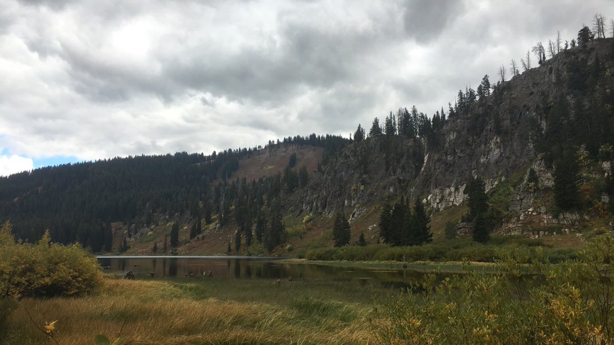 littlechief31's tweet photo. @littlechief31 this was exactly what I needed. I love this place so much. #TonyGrove #NoFilter https://t.co/DGKox2oTgr