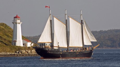 CBCNS's tweet photo. Busy tourist weekend ahead in Halifax after 'fantastic' summer https://t.co/1DAjl17cto https://t.co/iRDcAnvJij