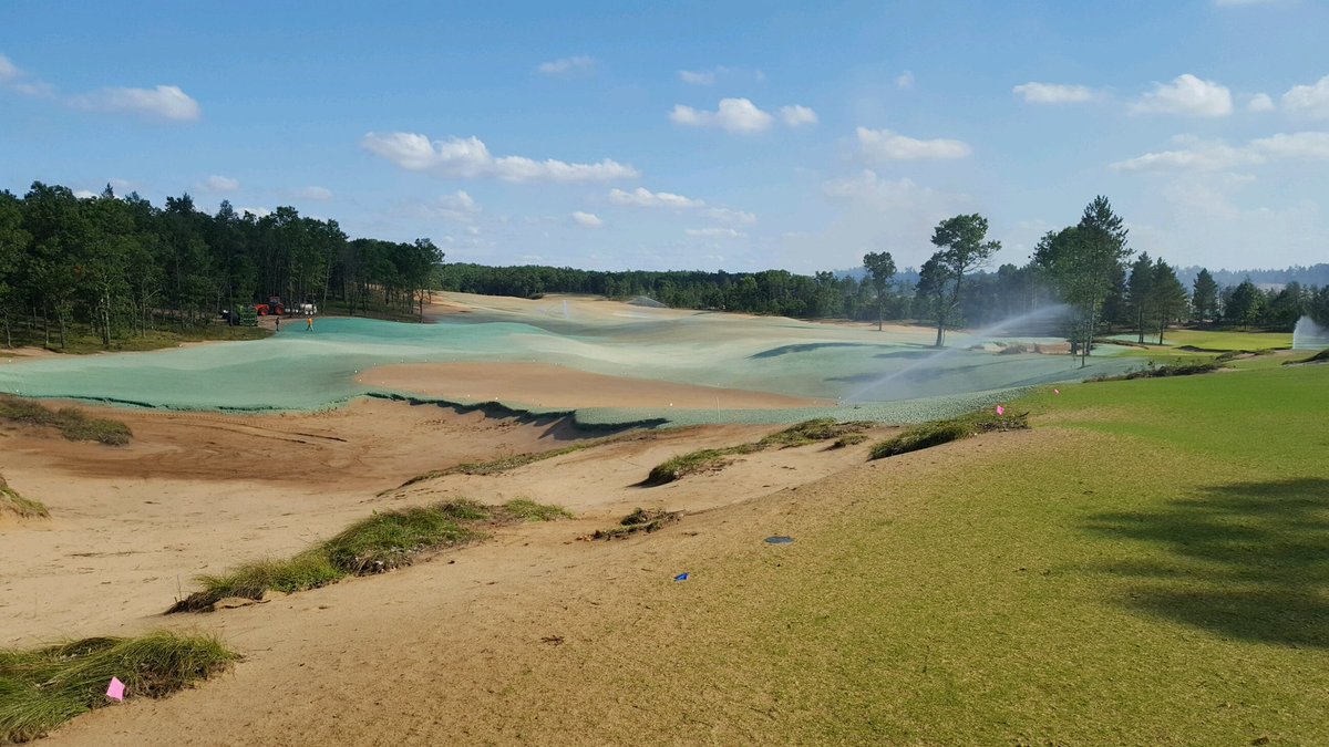 Andy Brownlow tweet media