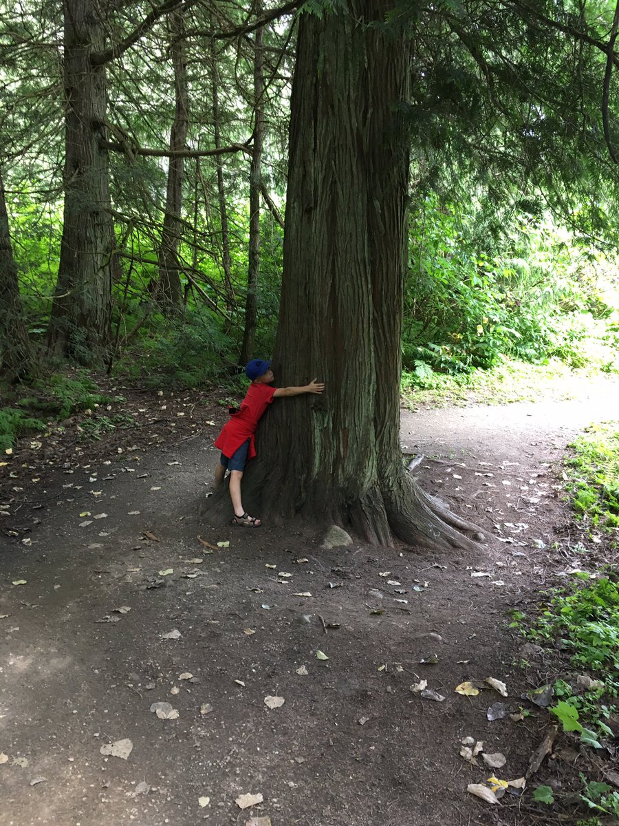 tinlizzee's tweet photo. Huh a tree and help support @AmericanForests @eddiebauer #onetree #hug2give https://t.co/youRqpJwMW