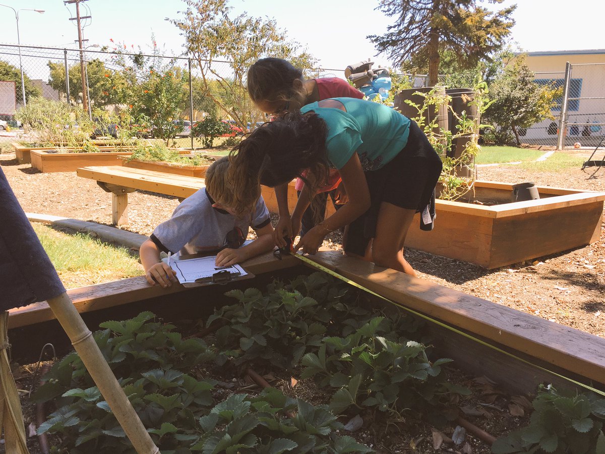 ChienforSTEM's tweet photo. 3rd grade Engineers measure garden beds to conduct research to build trellises in #servicelearning design challenge https://t.co/DiZcrbovni