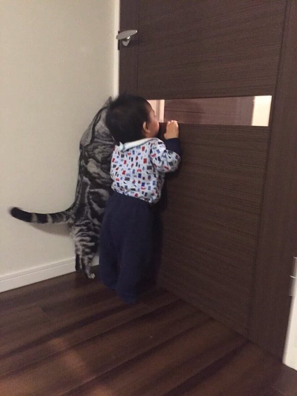 masaku_'s tweet photo. Man u fans checking whether everyone has slept and it's safe to come out https://t.co/bXNLjviynX
