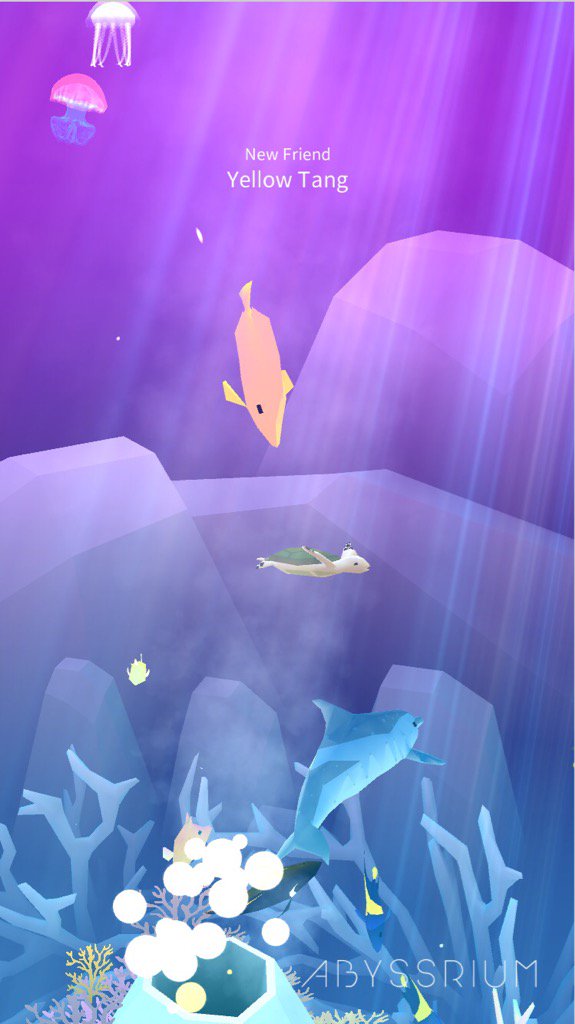 electricnimbus's tweet photo. My Yellow Tang:) 
#abyssrium
https://t.co/s8bdFKbdj8 https://t.co/Y6bBCJ3Wlb