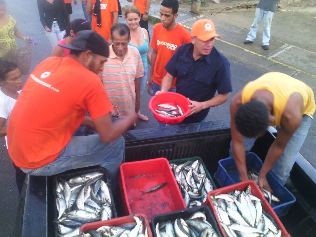 IsrraelCaraball's tweet photo. Son más de 500 kilos de sardina los que estamos repartiendo hoy. Solidarios con nuestro pueblo de #Guanta https://t.co/YbVsE3FKyj