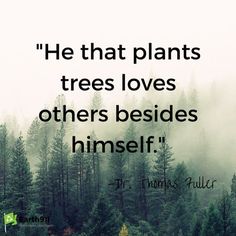 ThriftyTreeInc's tweet photo. #TreeQuote #TreeHugger #ThriftyTreeService #PlantATree https://t.co/OWuYKW3ELn
