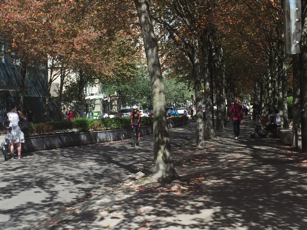 ColleenLayton's tweet photo. Several times I've gone out of my way to walk down this street. Beautiful. #HornbyStreet #Vancouver @DPGilmartin https://t.co/1hvnFlyKMx