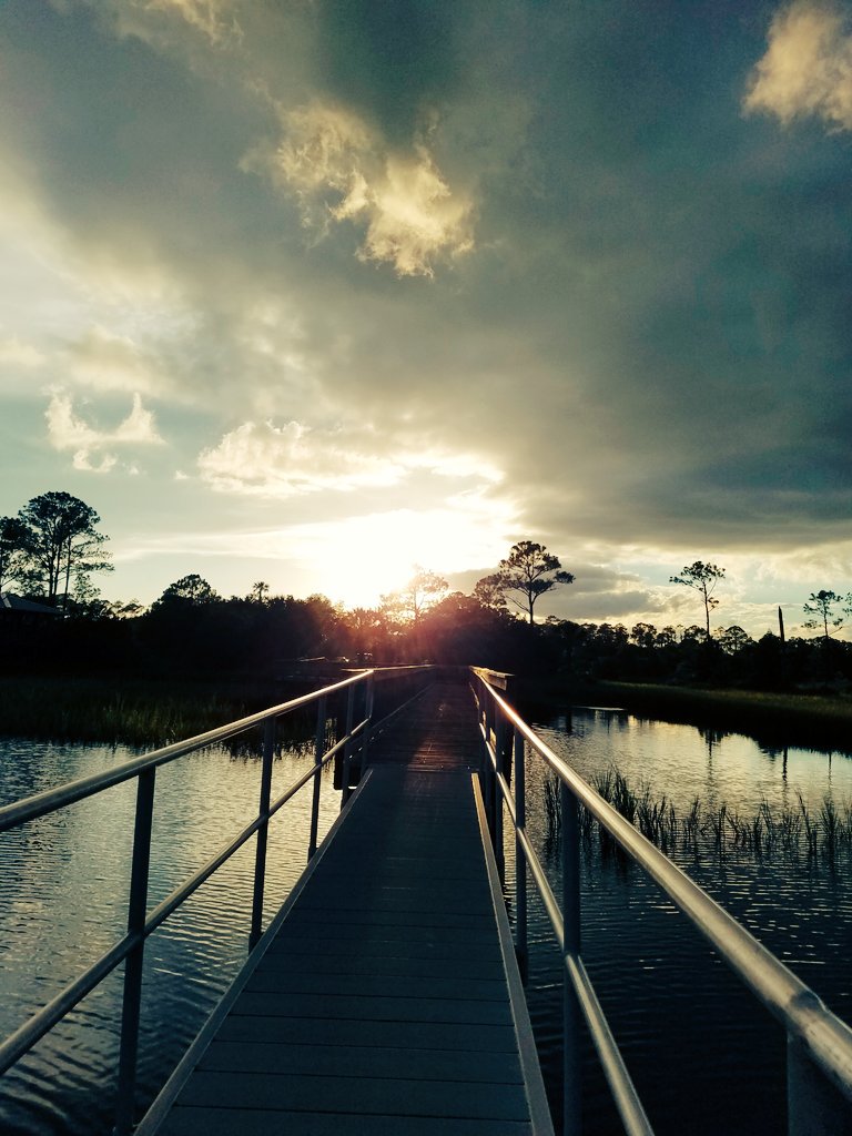 TaylorTracy_19's tweet photo. Jacksonville sunset at Castaway Island Preserve. #jax #sunset #intercoastal #castaway #StormIsComing https://t.co/OXx4ZhW1C3