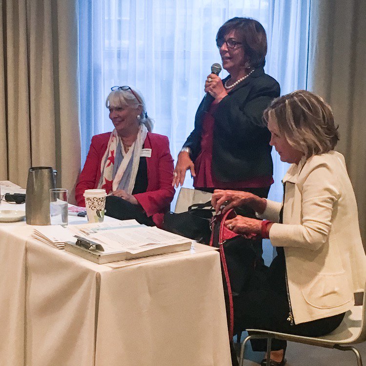 Senator Sara Feigenholtz tweet media