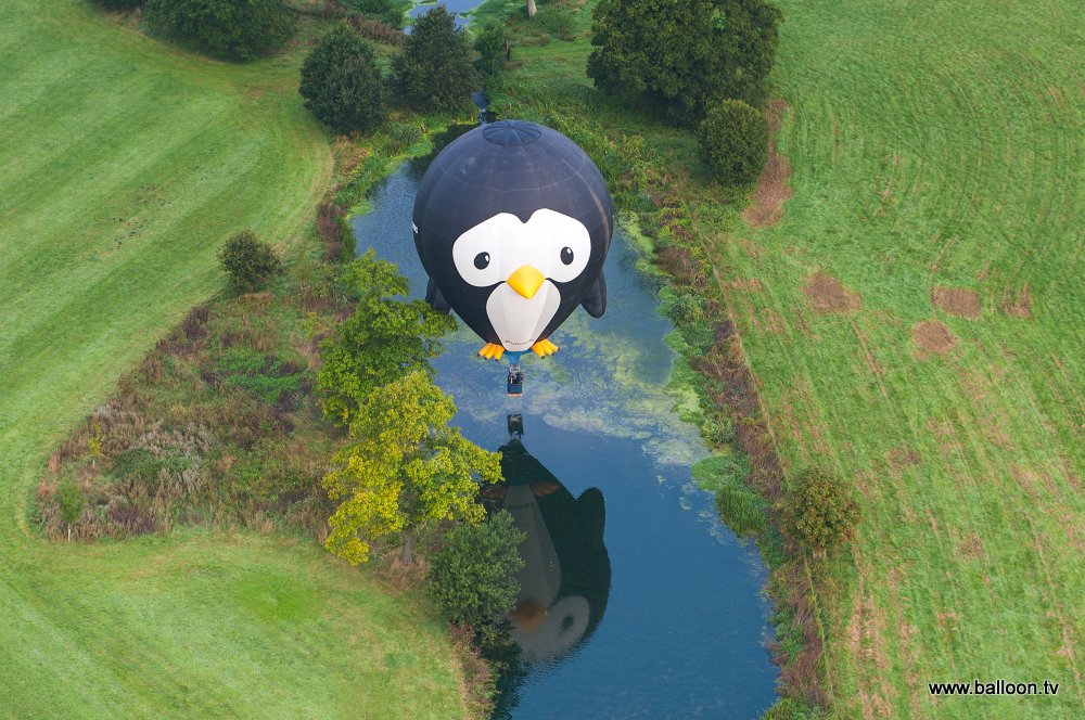 FlyPenguinUK's tweet photo. Look what we did today! Amazing time flying and glowing @Longleat #SkySafari today! #FlyPenguin https://t.co/TTgawolDlu