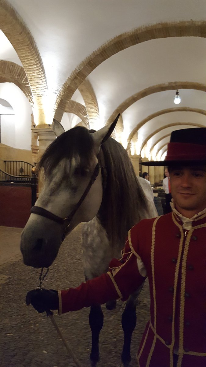 isabel_ambrosio's tweet photo. #Córdoba se prepara para ser la capital mundial del caballo durante este fin de semana con #Cabalcor2016 https://t.co/h8bBVlF6Gj