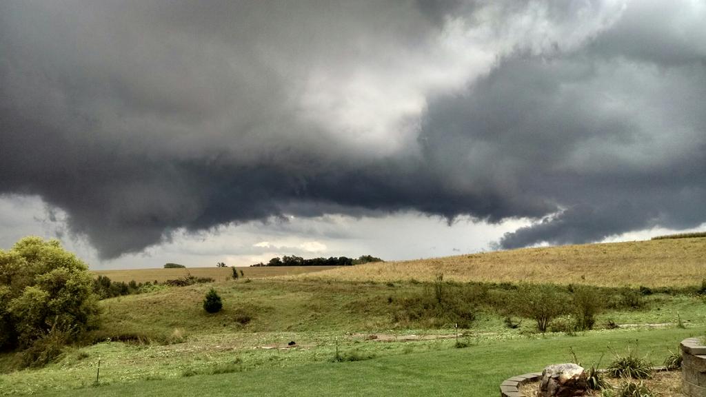 Danielle Landholm tweet media