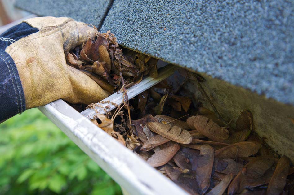 Build up in gutters over winter can dry out in the warmer weather &amp; become a fire hazard. Have you checked your roof