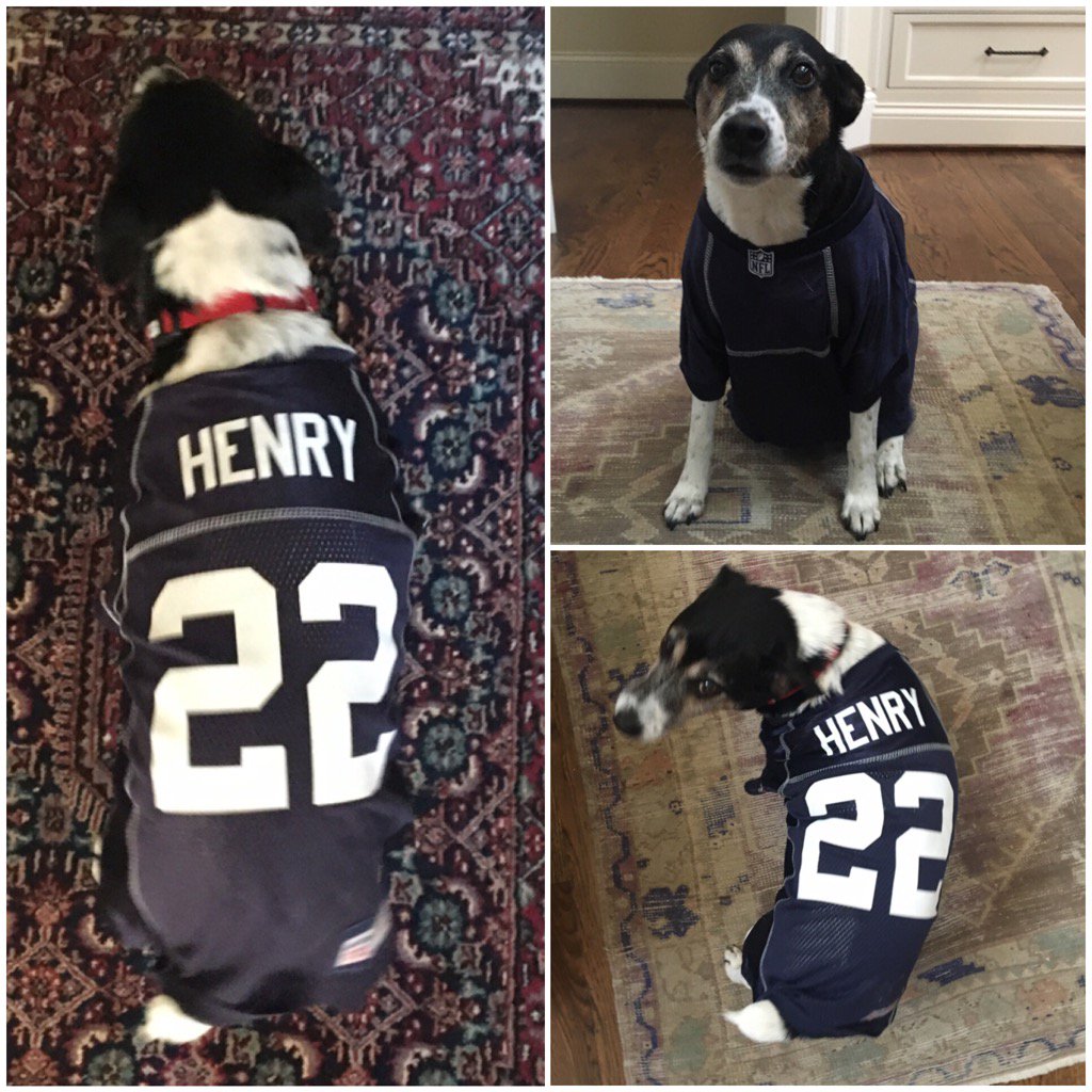 kathleengeer's tweet photo. Henry is counting down till @KingHenry_2 and the @Titans take the field on Sunday! #TitanUp #RollTide #KingHenry https://t.co/v59UkAauWi