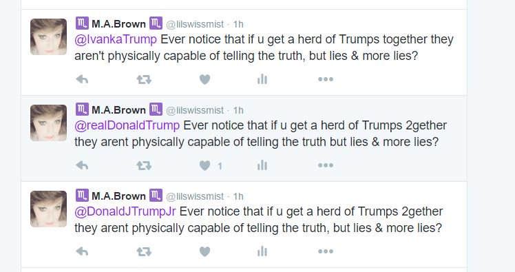 lilswissmist's tweet photo. #NeverTrump #NeverIvanka #NeverTrumpJr #ImWithHer #VoteBlue https://t.co/kSith3K43K