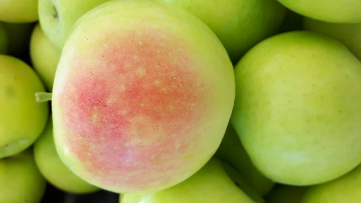 For those of you waiting for the Shamrock apples, they have arrived! Get them today at the Bridgeland market