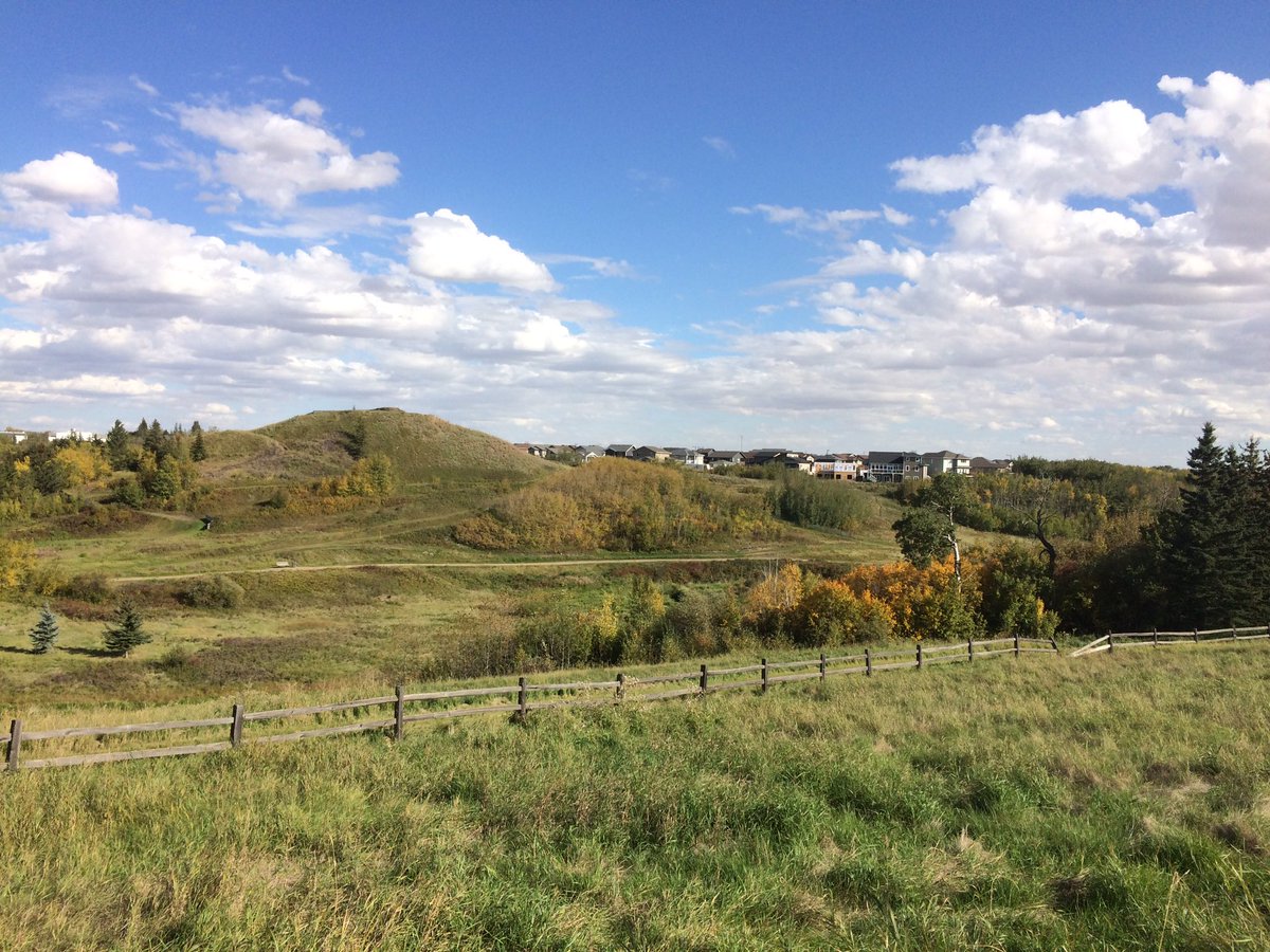 City of Camrose (CityofCamrose) Twitter