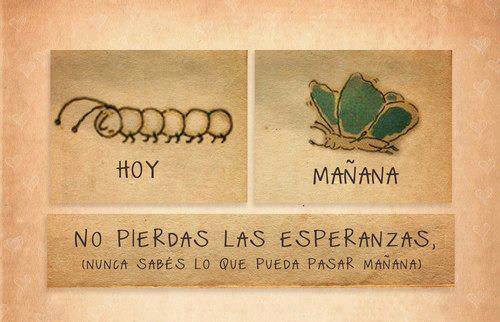 César Yené no Twitter: "y justo cuando pensé que todo estaba ...