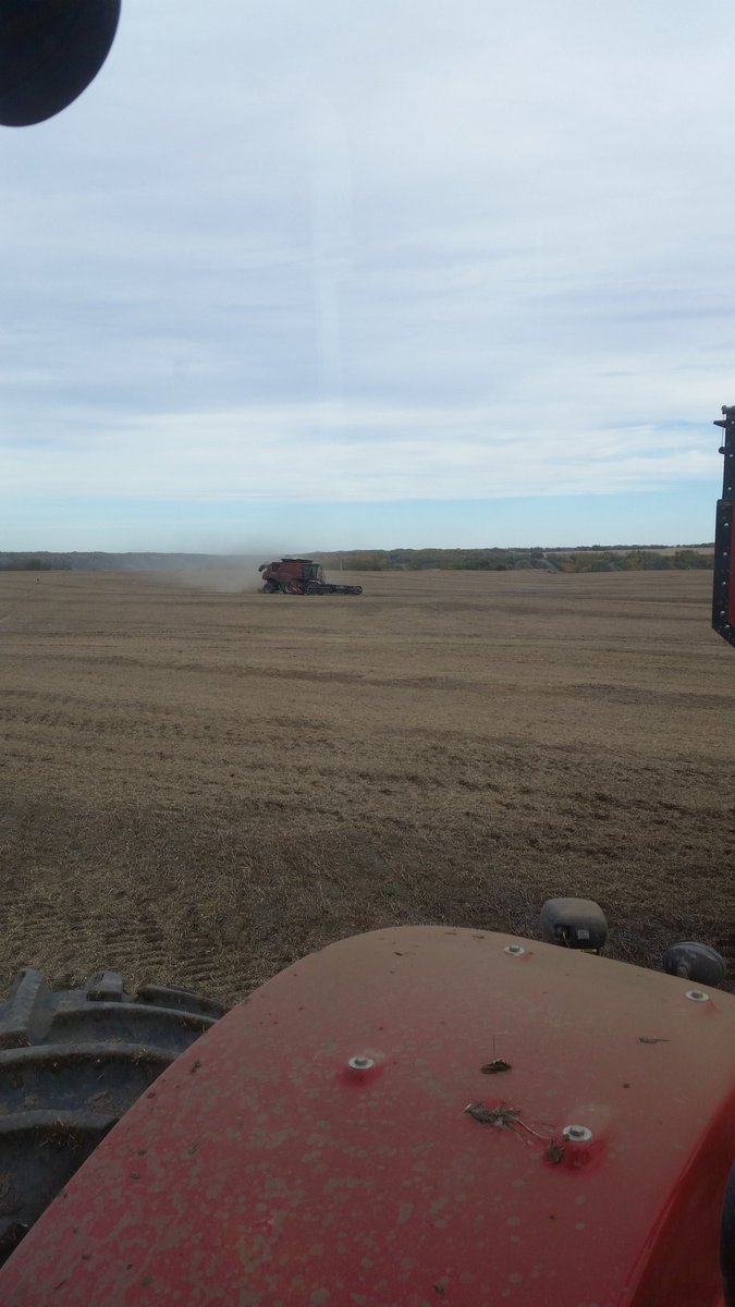 Brent Konstapel tweet media