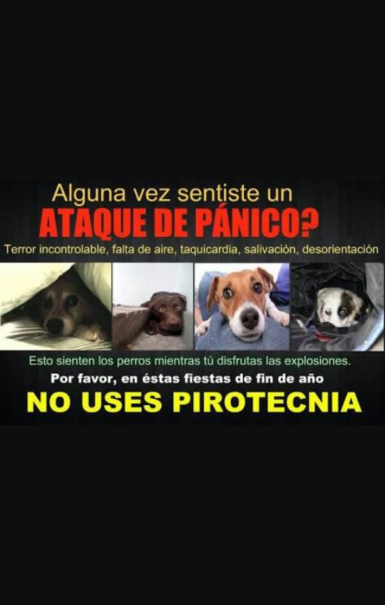 NGLKyzarduy's tweet photo. Hagamos conciencia... favor de RT @IvonneMonteroO @rebecadealba @mocastaneda @AnadelosRiscos @DaniBisogno https://t.co/3AmKGI5G2i