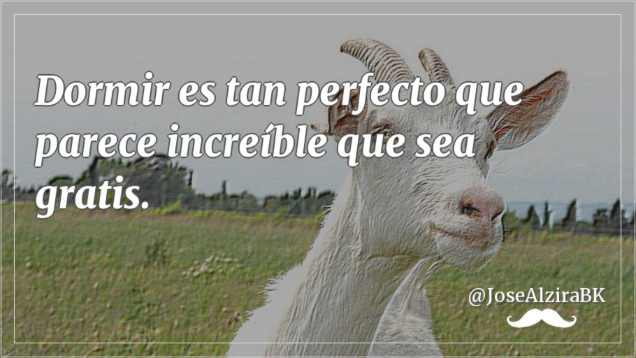 #LaHoraChachi254 
 
🌹Dormir es tan perfecto que parece increíble que sea gratis.🌹