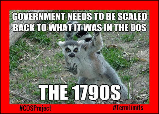 BobDeplorable's tweet image. MT @catwahler: Our government is SIMPLY TOO BIG to be GOOD GOVERNMENT! #TermLimits #COSProject #PJNET