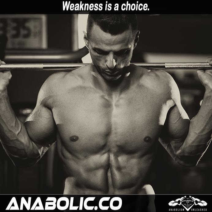 AnabolicCo's tweet photo. Weakness is a choice. #power #powerful #knowledgeispower #empower https://t.co/rBi9QTNiCv