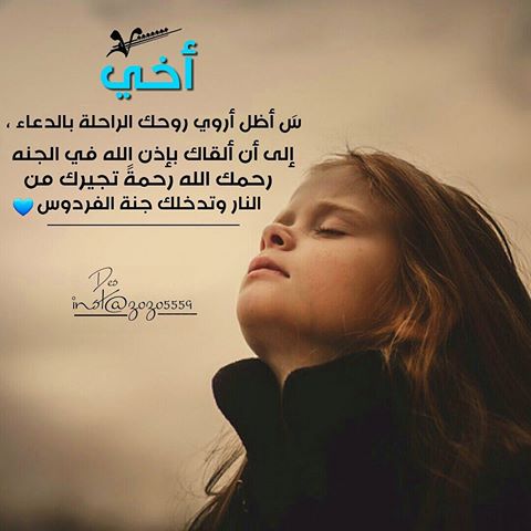 عمت عيني يخويه شلون اشوفك
كون وياك اروح ومااعوفك 
اسمك يالحلو شمحله حروفك
ياجرح البكلبي شلون اروفك

اخي مشتاقه لصوتك