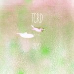 Photo by TheseColoursDontRun (@TCDRBand)