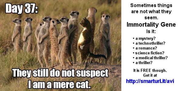 JChapman1729's tweet image. What must we do to persuade you to get a #free ebook? books2read.com/immgen Make you #laugh?