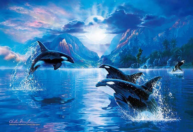 地倶組太郎 ジグソークラブ公式 V Tvittere ラッセン新作発売 月が輝く美しい場所でシャチが泳いでいる躍動感のある絵柄ですね W 暗闇で光る蓄光パズルです T Co Dqenejx0si T Co Ocooefkhib Tvitter