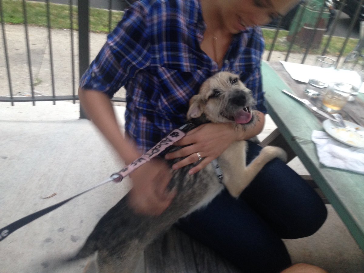 onetailatatime's tweet photo. We're at @wyler_road with fuzzy Frankie and wittle Wilma until 8:30. Come on by! #EatForOTAT https://t.co/bq07TGTWka