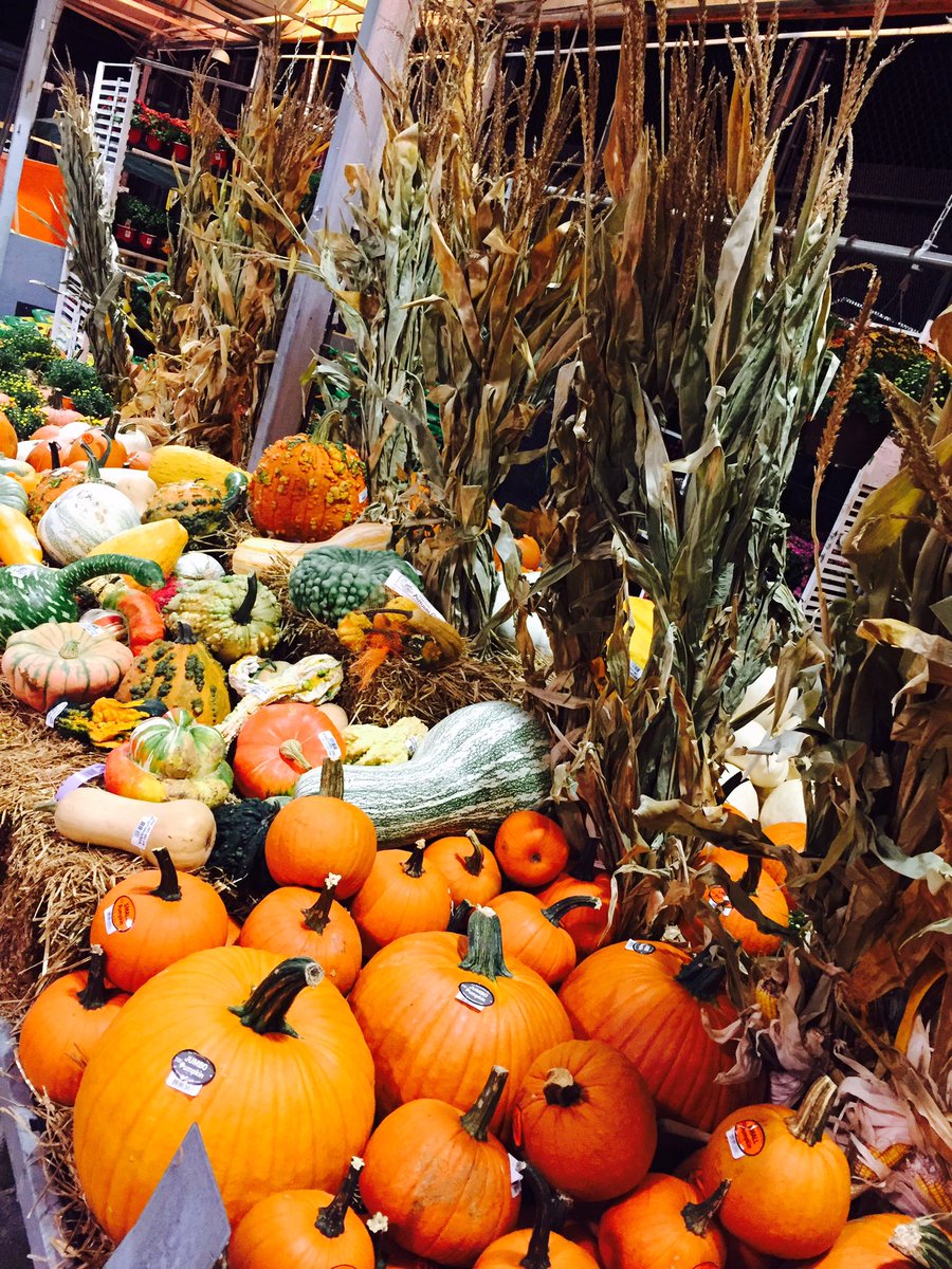 D28 associate Sean showing off our second #PumpkinPatch display!!! Fantastic fall color!!! ✨🎃🍂🍁🎃✨ #Team0141