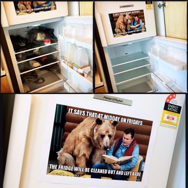 Z9CreativeSpiri's tweet image. #z9ettiquette
#QUTcommunicate