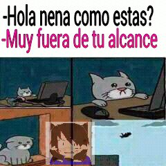 Neko HTF (@Daniela86476543) / Twitter