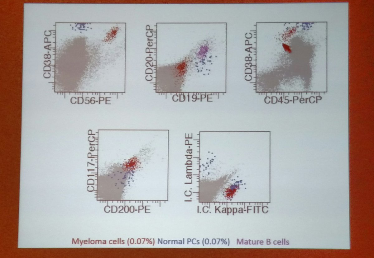 BettyMChung's tweet image. Some facts to know for MM MRD by flow #PathLab2016 #hemepath