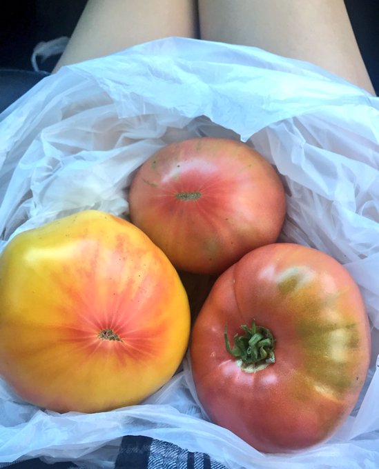 Picked up some beautiful heirlooms from the farmers market and made the yummiest tomato salad ever 🍅😋💚<a href="/tag/sloppy2nds"class="tags"><span>#sloppy2nds</span></a>